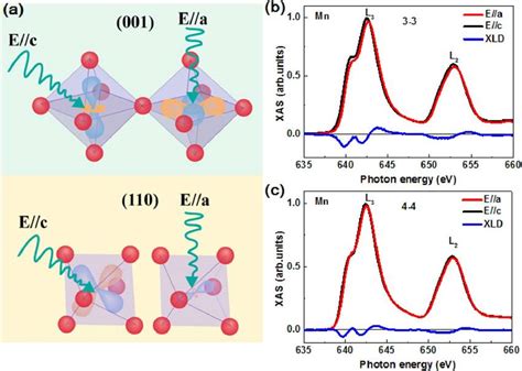 linear dichroism vs polarimeter|linear polarization rotation.